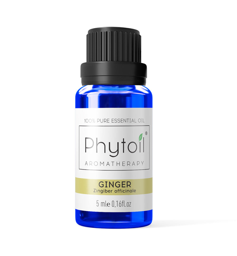 Zencefil Yağı / Ginger Oil
