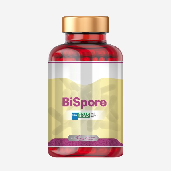 Bispore Probiyotik